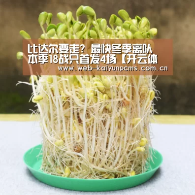比达尔要走? 最快冬季离队 本季18战只首发4场【开云体育】