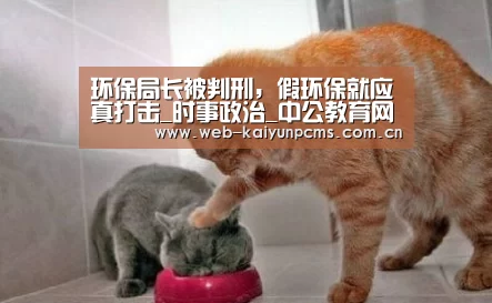 开云体育
